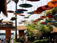 【國慶】【雙城之戀】清邁清萊5天4晚