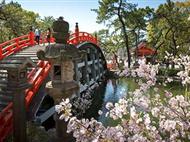 探秘雙古都 嵐山 奈良公園 茶道體驗 臺場高達 秋葉原六天之旅（阪東線）