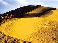 【尊享青甘大環線】大環線8日